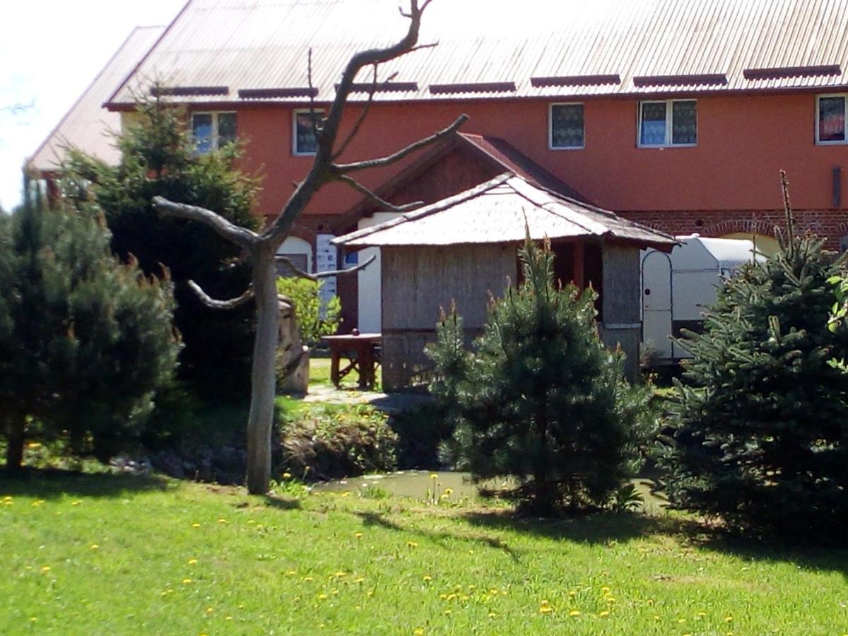 Agroturystyka Andrzejowka Czerniki المظهر الخارجي الصورة
